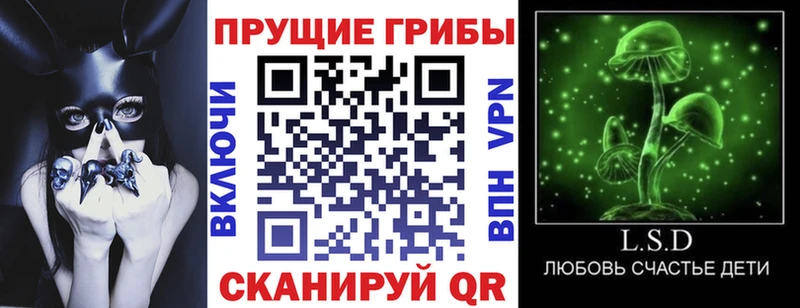 Псилоцибиновые грибы Cubensis  купить наркоту  Архангельск 